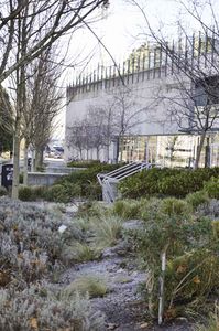 Plant Bed in front of the Community Centre. This planted area separates the promenade and bicycle route from the plaza that provides access to the buildings and seating areas.
