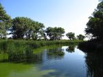 Water in the Landscape