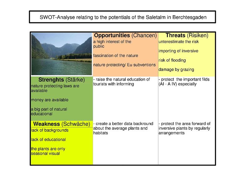 File:SWOT-Analyse1.jpg
