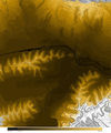 Thumbnail for version as of 10:44, 27 November 2014