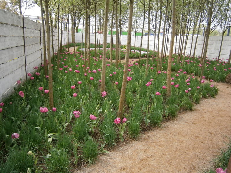 File:Planting Design 2013 Working Group 13 - Case Study C.jpeg