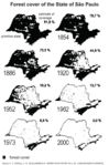 Change of forest cover in the State of São Paulo from 1854 - 2000. Source: A Reserva da Biosfera da Mata Atlântica no Estado de São Paulo. Serie Cadernos da Reserva da Biosfera da Mata Atlântica.