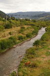 animals on the river shore