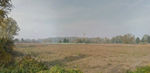 The site: View of some Bastia fields from the main road