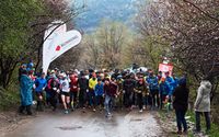 Marathons in the Baum Grove. Image source: www.athletex.kz