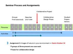 Third assignment document a case from your individual context