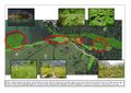 Thumbnail for version as of 12:16, 23 November 2013