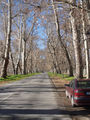Thumbnail for version as of 02:33, 17 January 2013