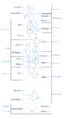 Thumbnail for version as of 20:08, 7 January 2013