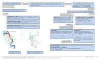 Concept map 1 - Theme context:Policy frameworks, laws and resolutions