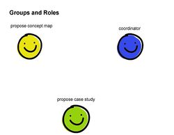 Distribution of roles: coordinator, concept map and site proposal