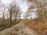 Tuesday Lunch-time Jogger on Kommodsbakken