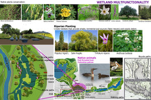 Multifunctionality and Wetland_Mirsa Gishti