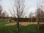 Playground area in Marienlyst Parken