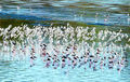 Thumbnail for version as of 21:49, 20 January 2014