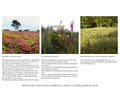 Thumbnail for version as of 16:26, 3 February 2014