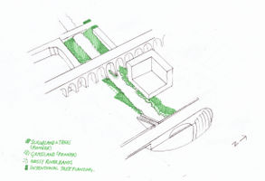 Analysis: Vegetation Types