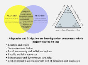 For adaptation and mitigation.jpg