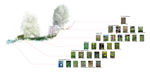 Introduction of plants in different levels