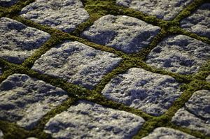 Moss occurred naturally on the granite stone pavement