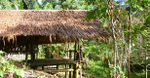 Jungle Camp, by Poring Hot Springs, Mt Kinabalu