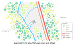 analytical drawing 2: Buffer strips: vegetation form and scale