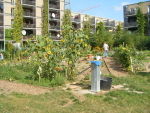 Colourful Gardens in Autum 2009