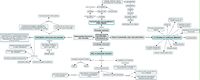 Concept map 4 - Theme context:Group Synthesis of the four themes