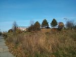 Green area near elementary school
