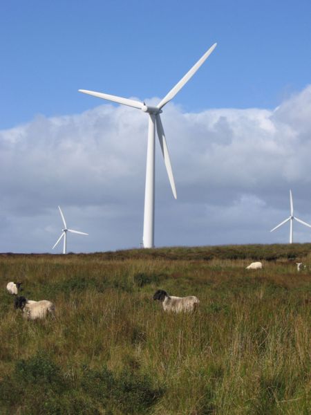 File:Radek project.jpg