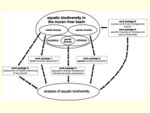 overview on the project procedure - Correlation of the individual work packages