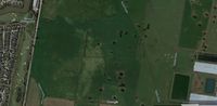 Scattered River Red Gums in fields on the boundary of Melbourne's urban fringe