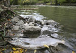 Don river degradation