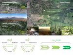 Case Study 4 Christian Soria