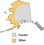 Tundra