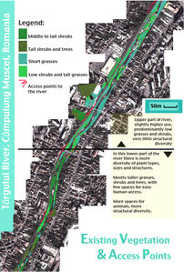 This map begins to give us more detail regarding what vegetation types are already existing on the site, and the areas most suitable for bringing people in to the site. Overall these maps hope to help generate answers to the questions: what have we got to work with here, and what elements have potential? What should be hidden or removed? What can be highlighted or enhanced?