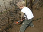 Young gardener at work