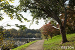 Pedestrian road along the shore of the lake