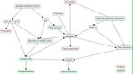 Natural dynamic, cultural framework and problems and potentials of the island