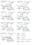 case representation