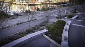 Planting Design along the bicycle path and the plaza. Separate plated areas following the same pattern and using the same plants with slight variations.