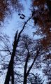 Thumbnail for version as of 18:35, 19 December 2018